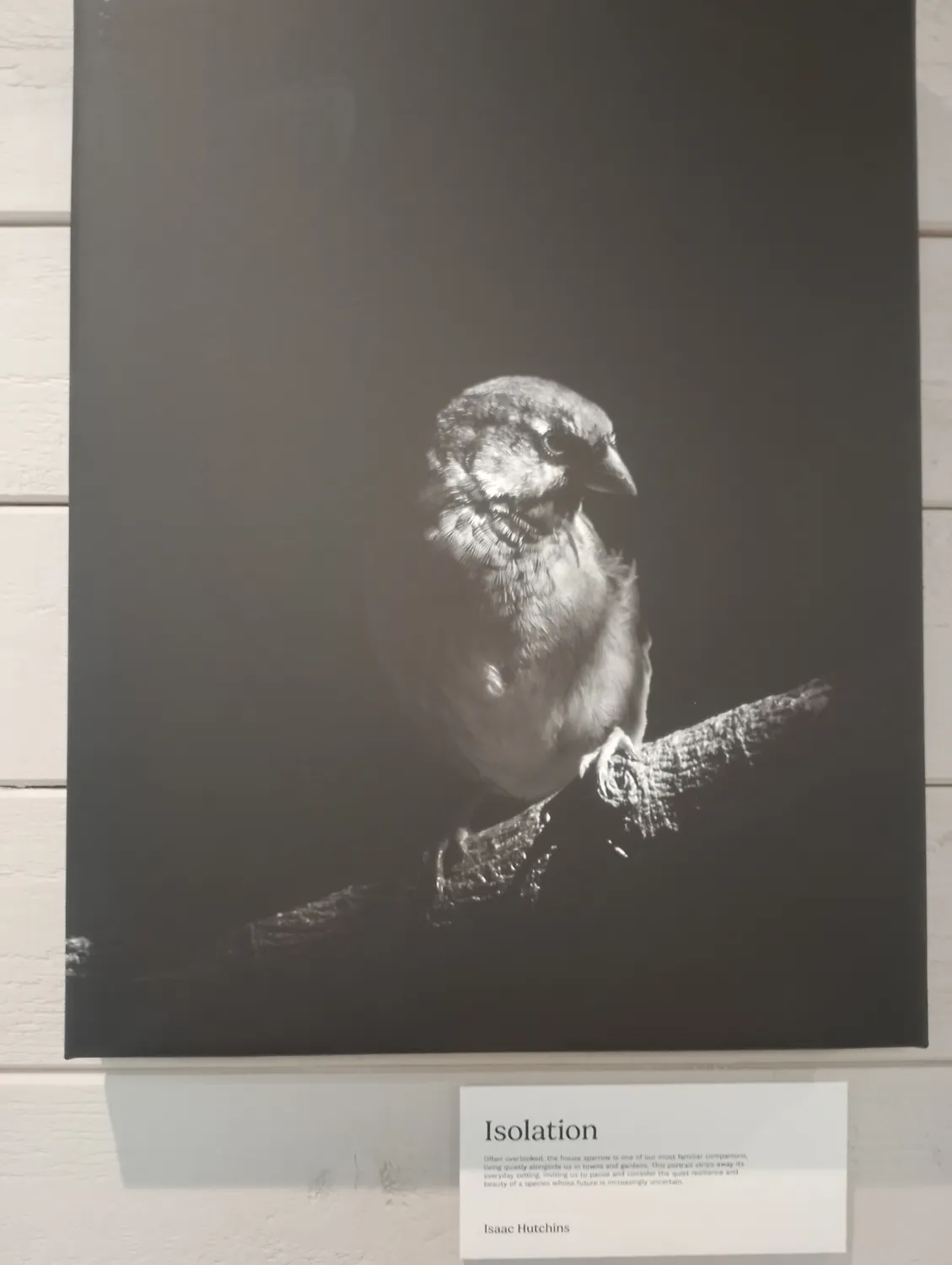 Exhibition display