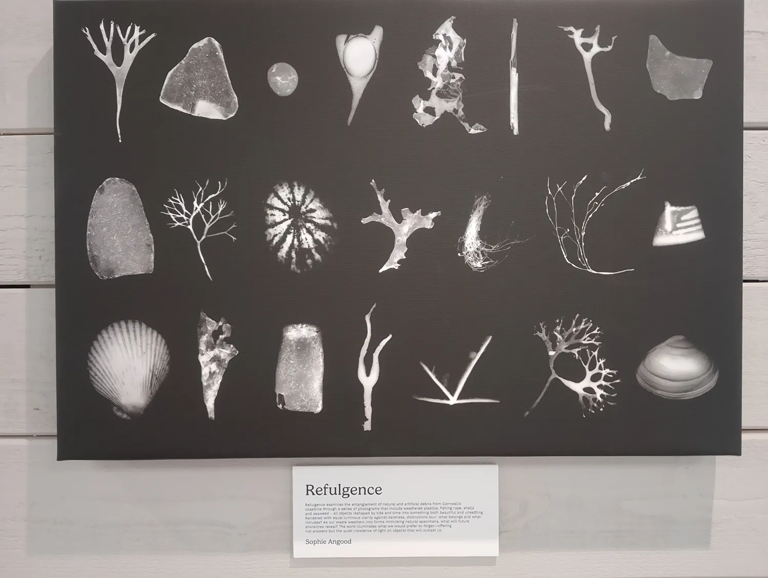 Display