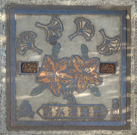 Japan 3: Tokyo Return