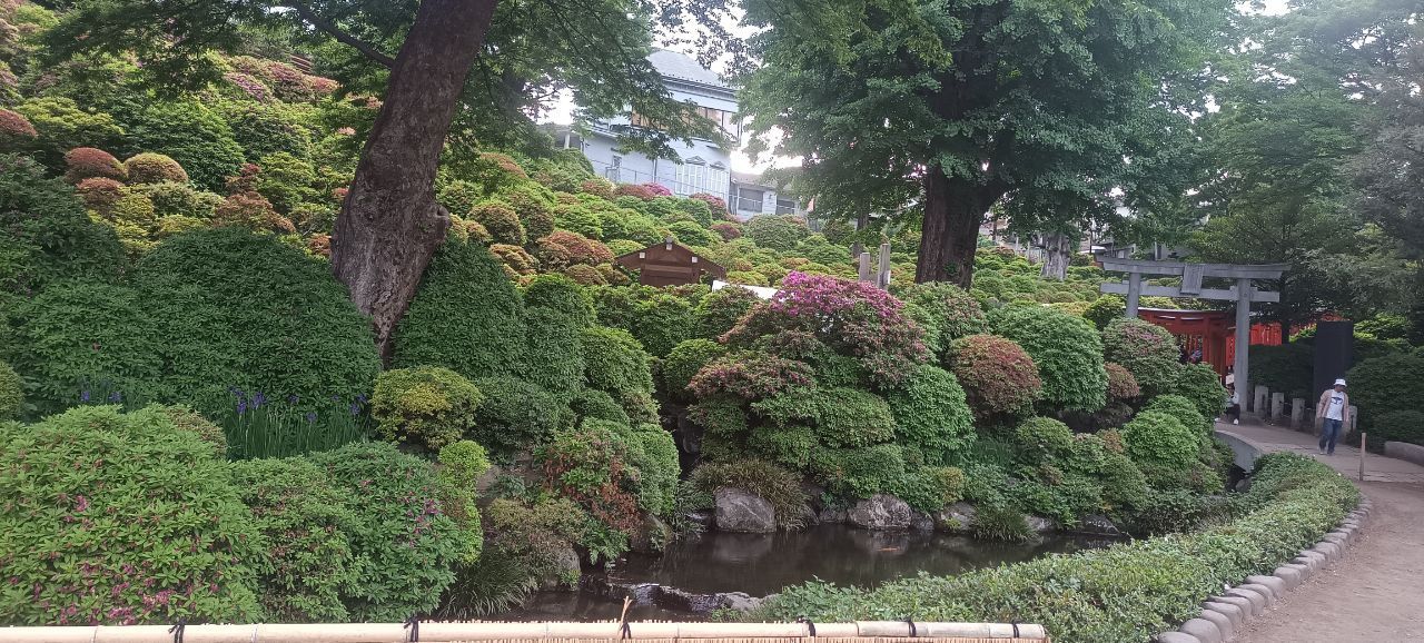Nezu temple