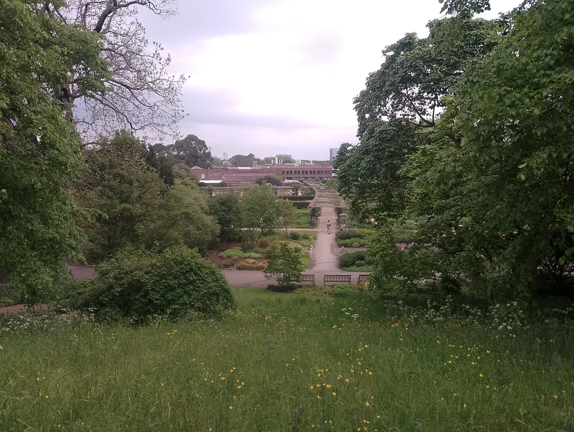 Ascending the hill