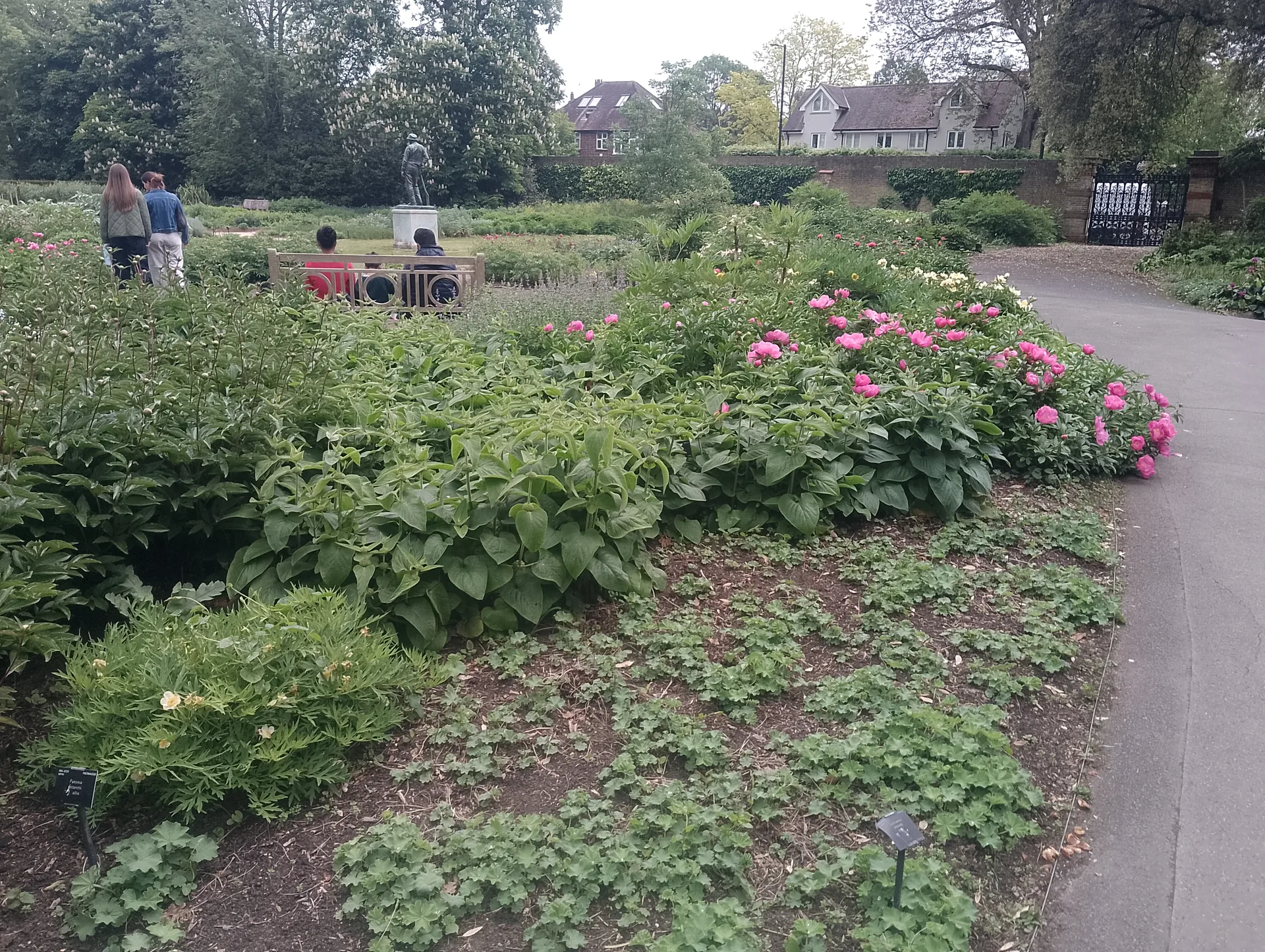Garden path with flowers