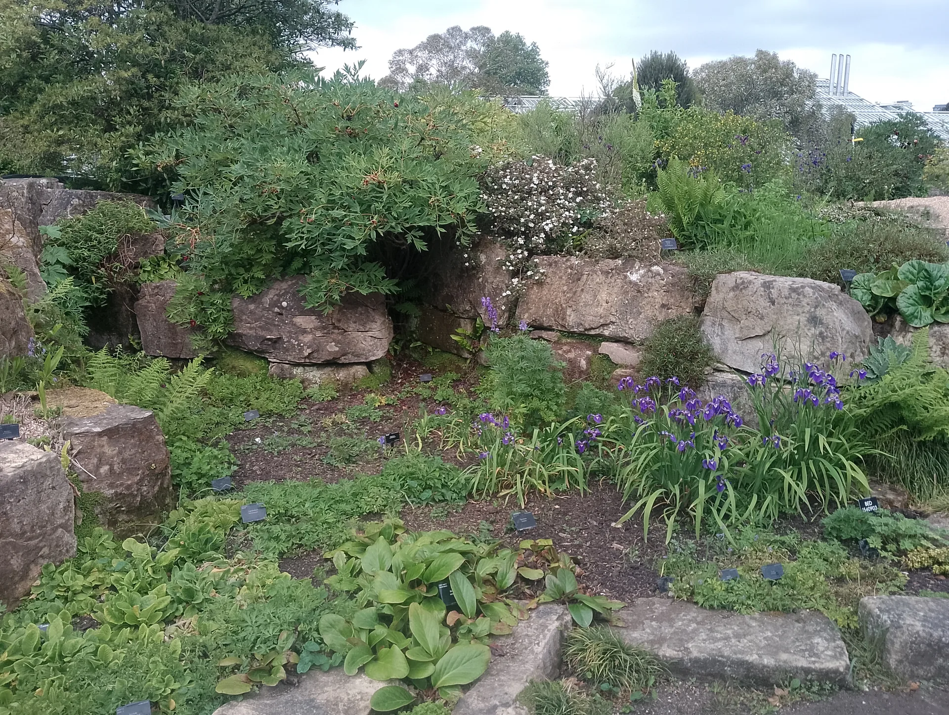 Rock garden detail