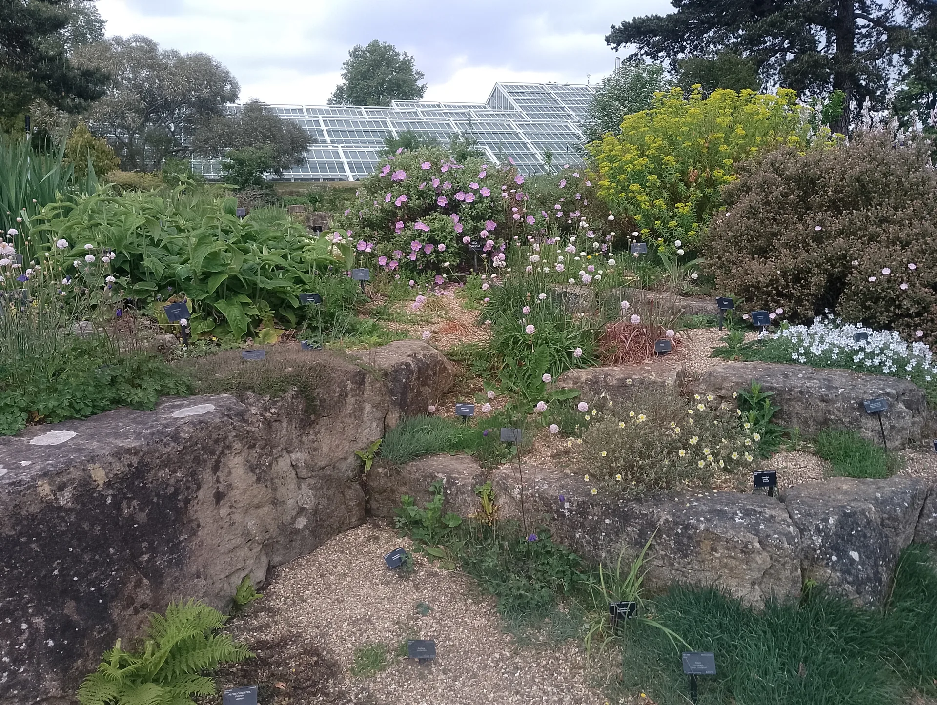 Rock gardens with greenhouse