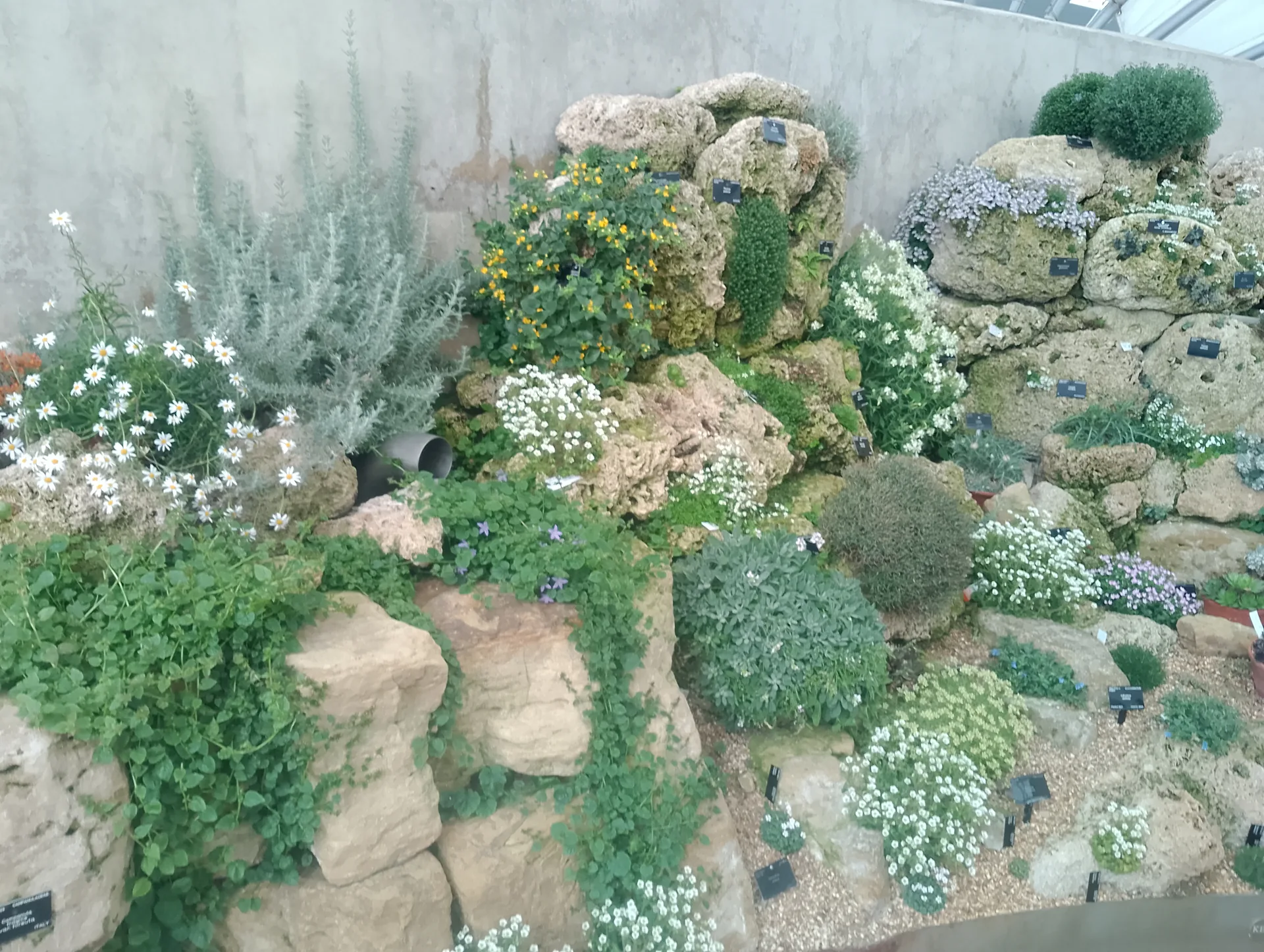 Alpine House exit