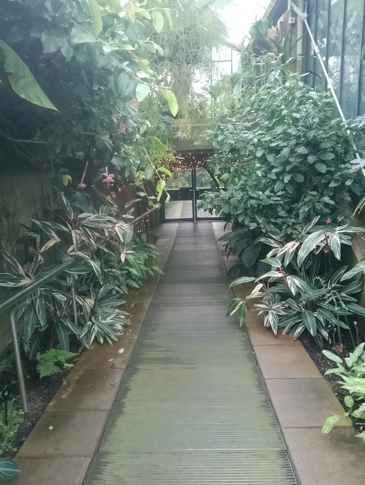 Conservatory interior