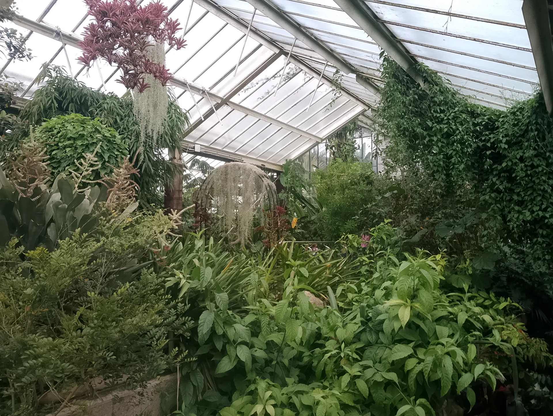 Indoor garden