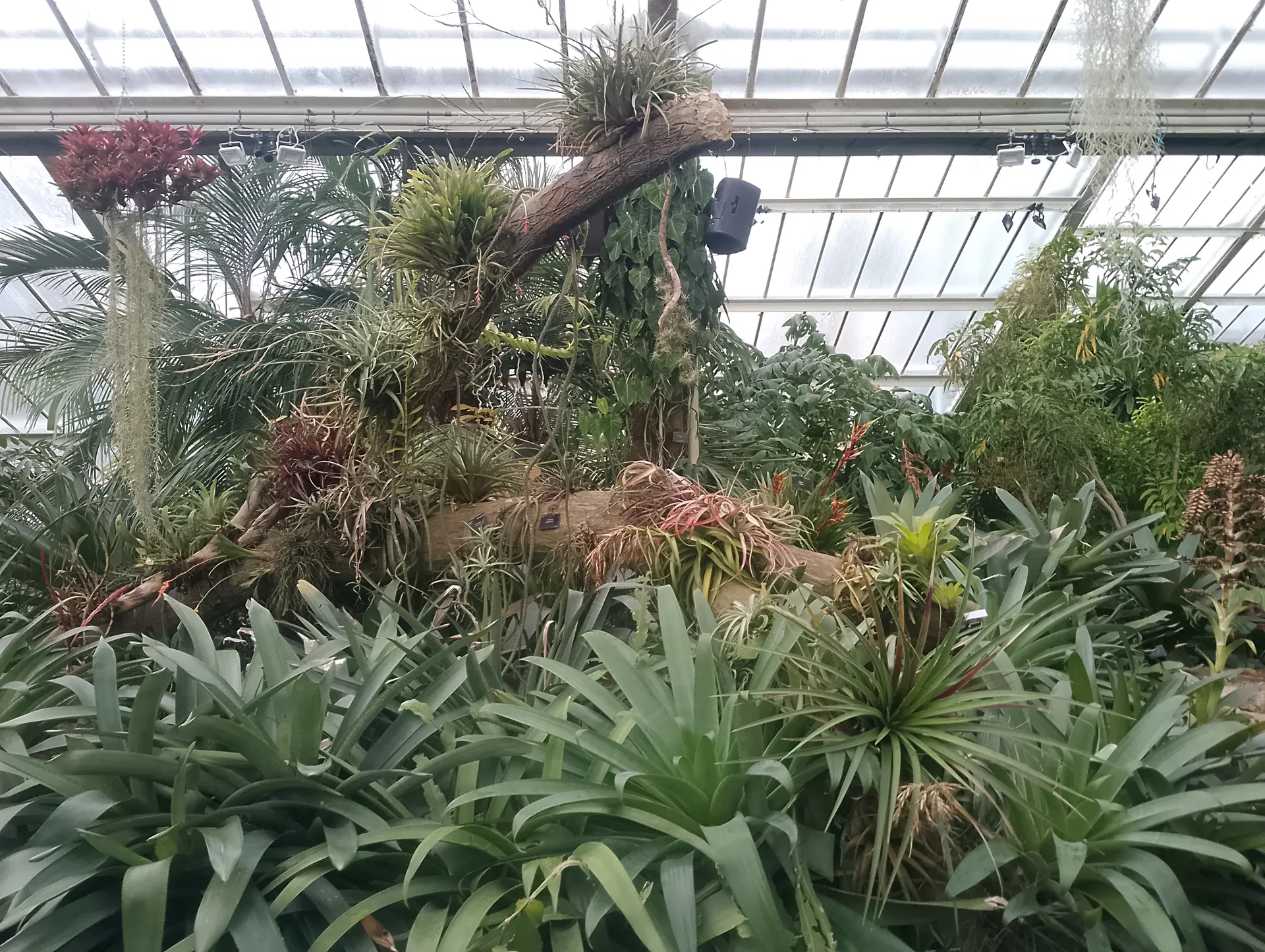 Conservatory interior