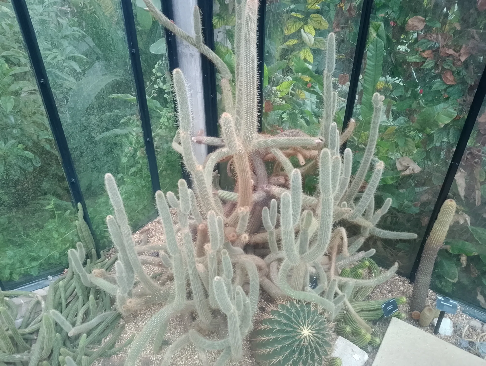 Conservatory exit