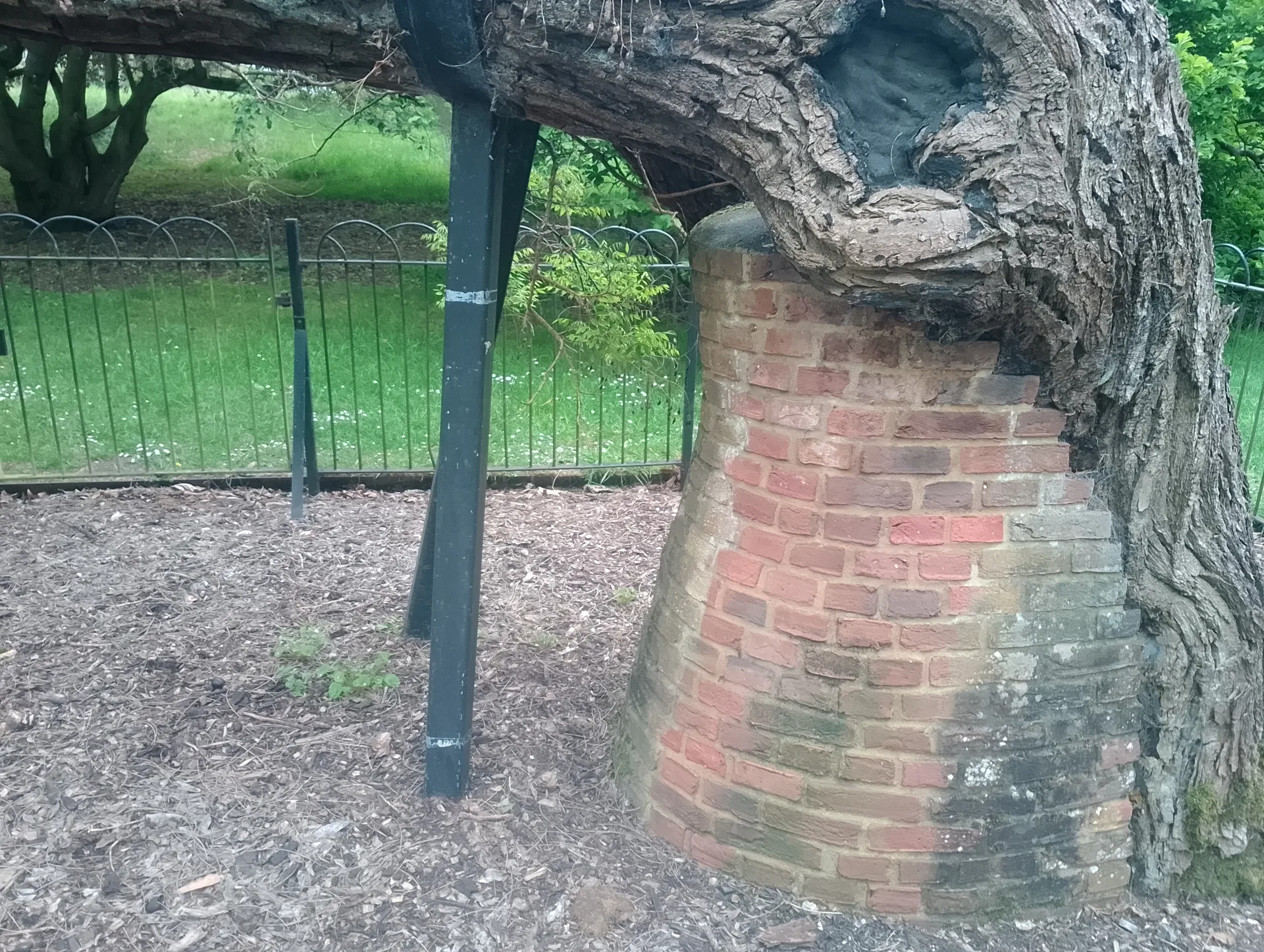 The Hive structure