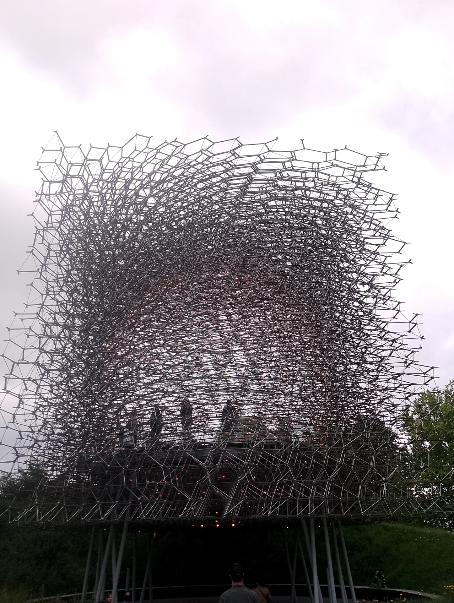 Inside the Hive
