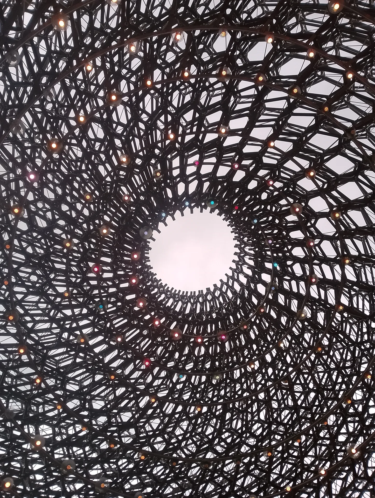 Hive interior with lights