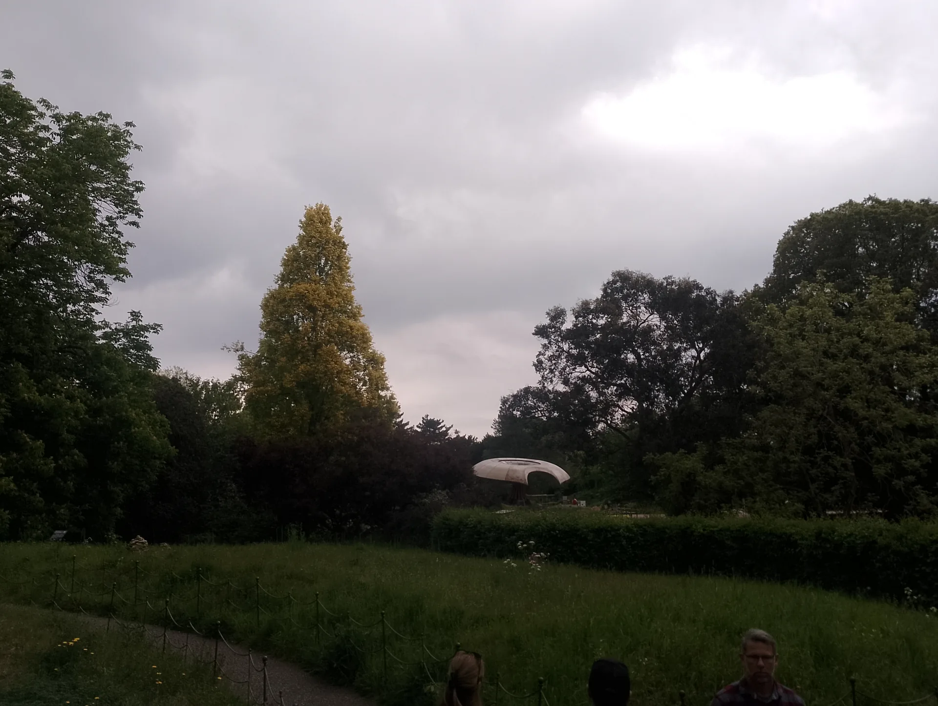 Approaching the Carbon Garden
