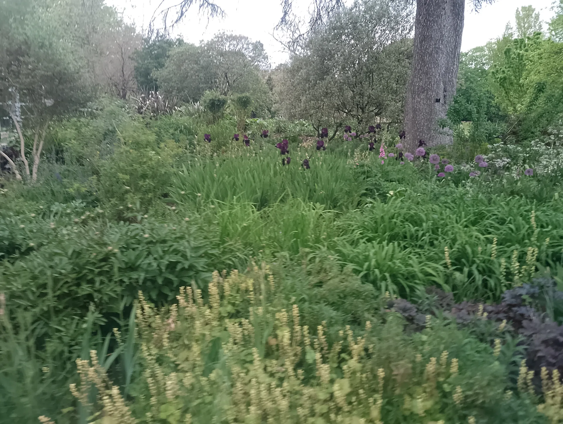 Garden beds on the way