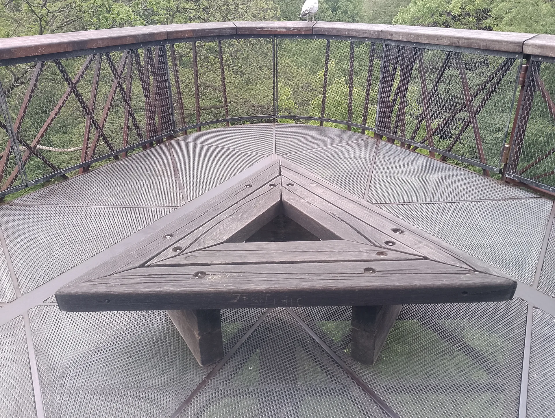 Treetop view
