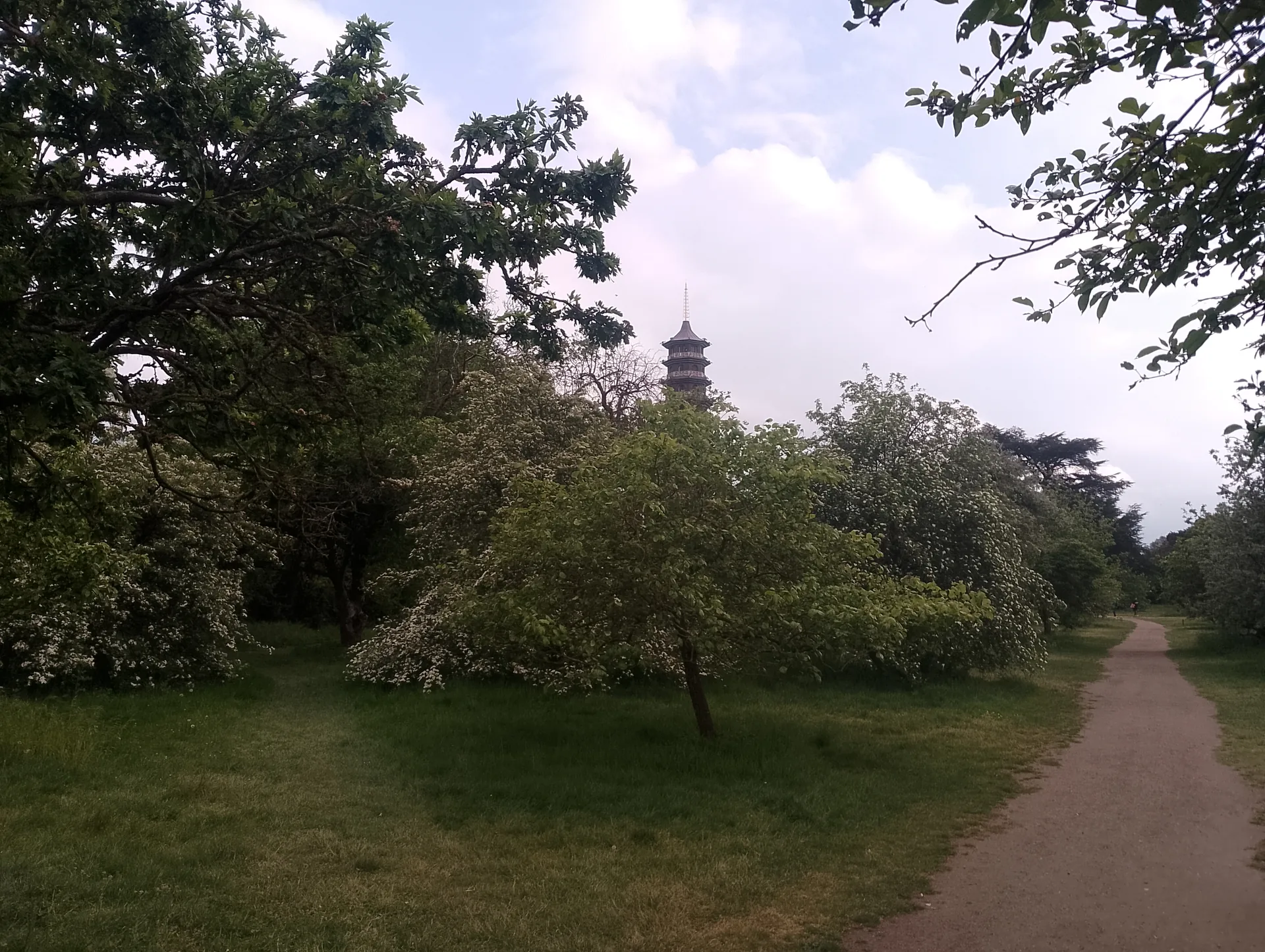Approaching the Great Pagoda