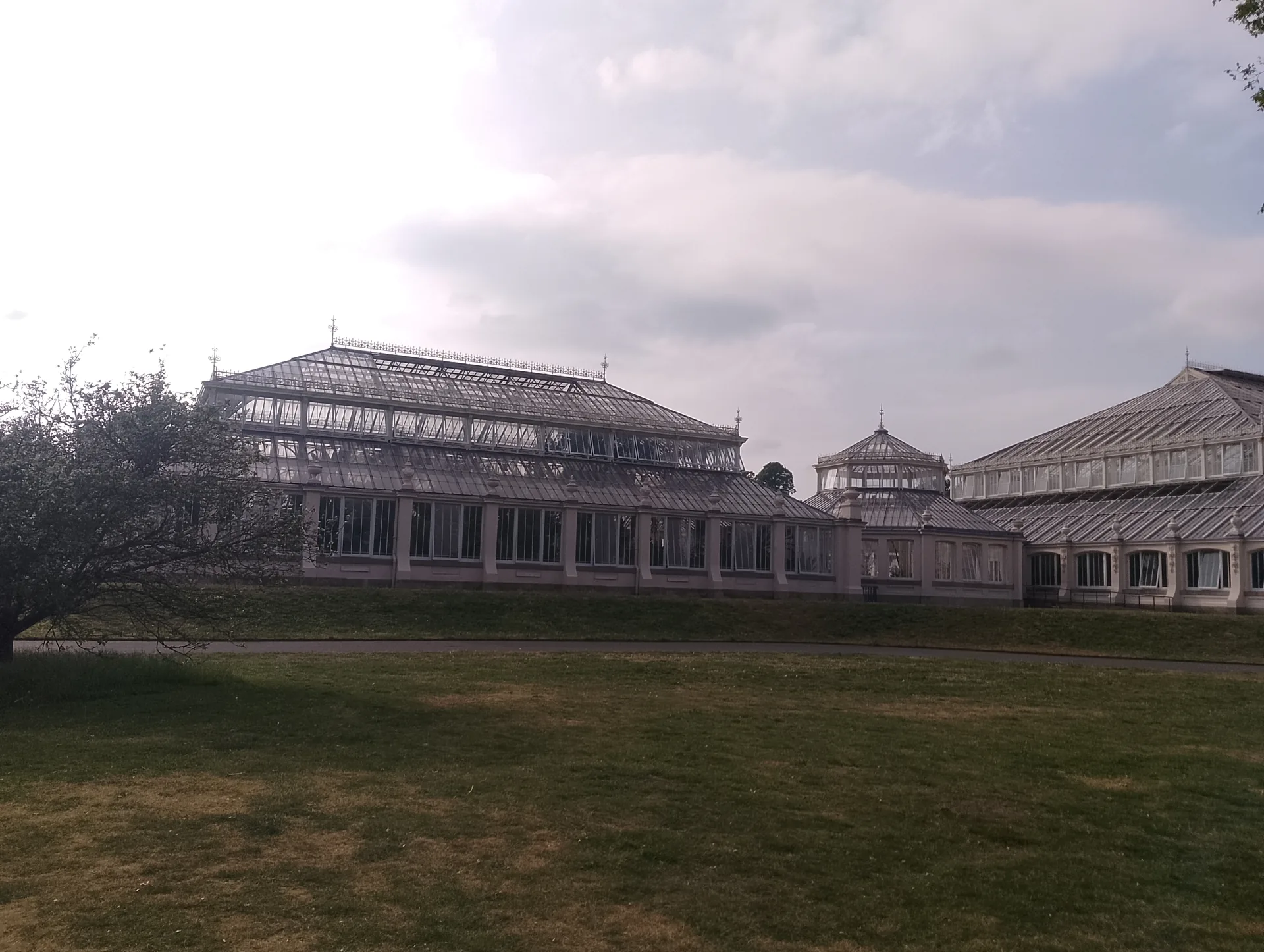 Pagoda Vista