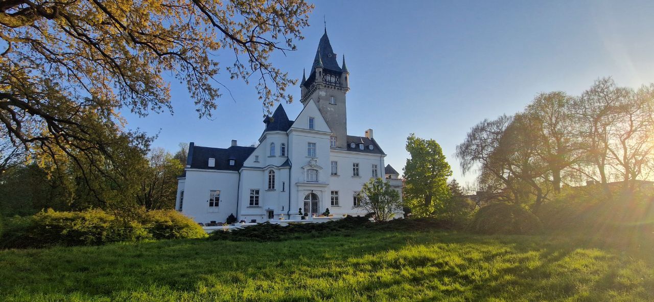 Poland: Chinwags Poznan